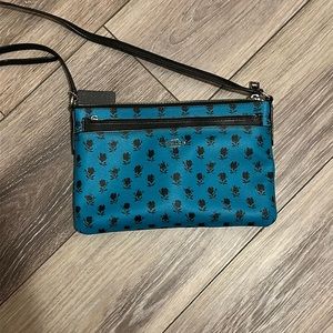 Coach bag (used)